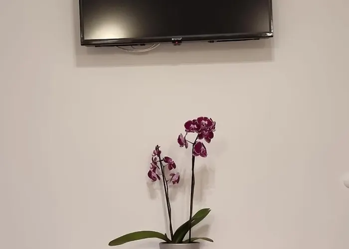 Bonbon 2 דירה ביוגראד נה מורו