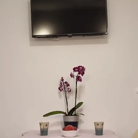 Bonbon 2 公寓 比奥格勒·纳·莫鲁